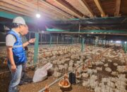 Pemerintah Pastikan Tarif Listrik Tetap Hingga Juni! Semester II/2024 Belum Tentu?