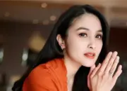 Tak Bisa Mengelak, Dewi Sandra Ikut Terimbas Kasus Korupsi Suami Sandra Dewi