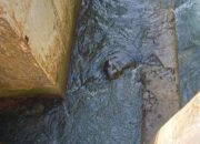 Ada Perbaikan Intake Palukahan, Pelayanan Air Bersih Wilayah Utara Kota Padang Terganggu