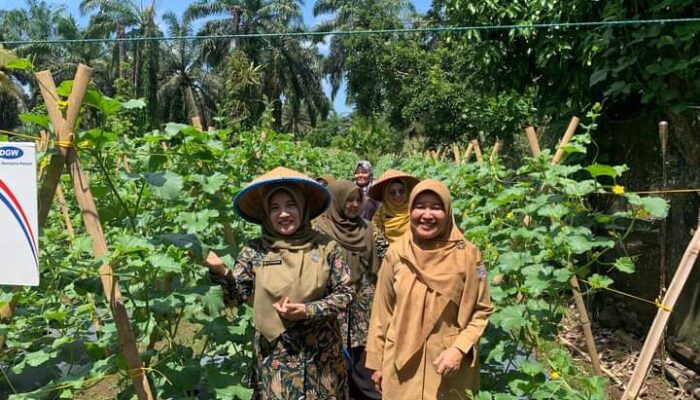 Ketua TP PKK Pasaman Barat Cek Lokasi Pusat Lomba Gerak PKK Tingkat Sumbar di Nagari Tandikek Kinali