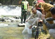 Wagub Audy Joinaldy Tebar 8.000 Ekor Bibit Garing di Sawahlunto