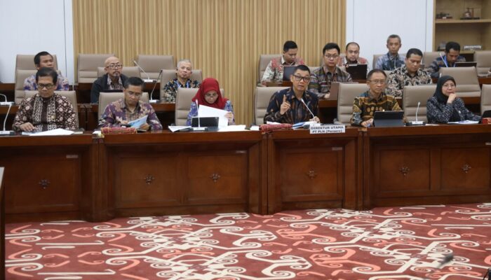 Capaian Keuangan Bagus, Komisi VI DPR Minta Fokus Tingkatkan Rasio Elektrifikasi