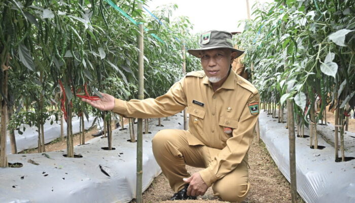 Gubernur Mahyeldi: Alhamdulillah..! Kuota Pupuk Subsidi Sumbar Naik 2 Kali Lipat