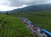 Tingkat Kunjungan Naik 3 Kali Lipat, Alahan Panjang Solok Bak Puncak Bogor saat Lebaran