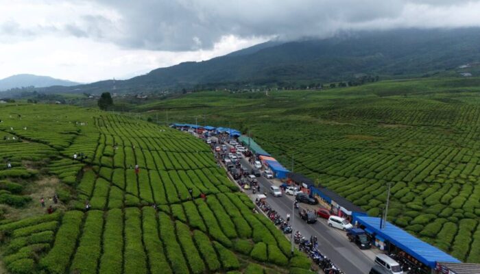 Tingkat Kunjungan Naik 3 Kali Lipat, Alahan Panjang Solok Bak Puncak Bogor saat Lebaran