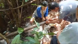 BUMDes Batu Jonggi Kumanis Gerak Cepat Perbaiki Pipa Air Bersih di Jorong Tanjung Alam