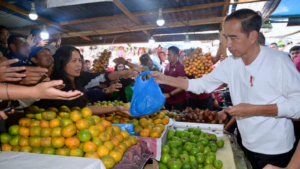 Pedagang Pasar Berastagi Terharu Dikunjungi Presiden Jokowi Berbelanja Buah dan Sayur