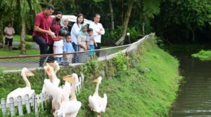 Masih di Sumatera Utara, Presiden Jokowi dan Keluarga Berlebaran Nikmati Asrinya Alam Deli Serdang