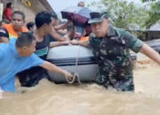 Sepanjang Pantai Ditanam Cemara Laut, Kota Padang Kembali Dipilih Sebagai Tuan Rumah Kegiatan Nasional