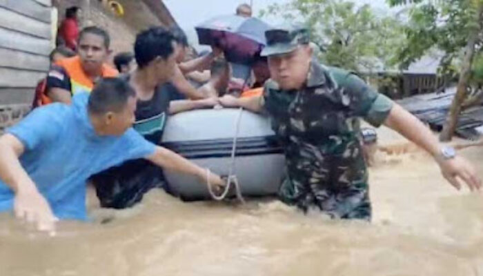 Sepanjang Pantai Ditanam Cemara Laut, Kota Padang Kembali Dipilih Sebagai Tuan Rumah Kegiatan Nasional