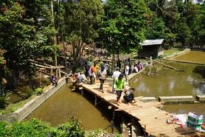 Sepekan Pasca-Galodo, Warga Padang Panjang Bersama TNI/Polri Sibuk Bangun Jembatan Darurat