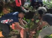 Waspada Banjir! Hujan Deras Disertai Angin Kencang Kembali Melanda Kota Padang