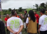 Program TJSL BUMN Injourney Dorong Perkembangan Pariwisata di Kepulauan Mentawai