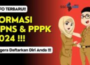 Siap-siap! Pemko Padang Buka Lagi 5.351 Formasi CPNS dan PPPK Tahun Ini