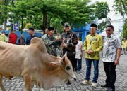 Perumda Air Minum Kota Padang Serahkan 89 Ekor Hewan Kurban ke Masyarakat