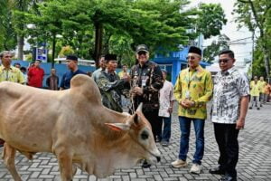Perumda Air Minum Kota Padang Serahkan 89 Ekor Hewan Kurban ke Masyarakat