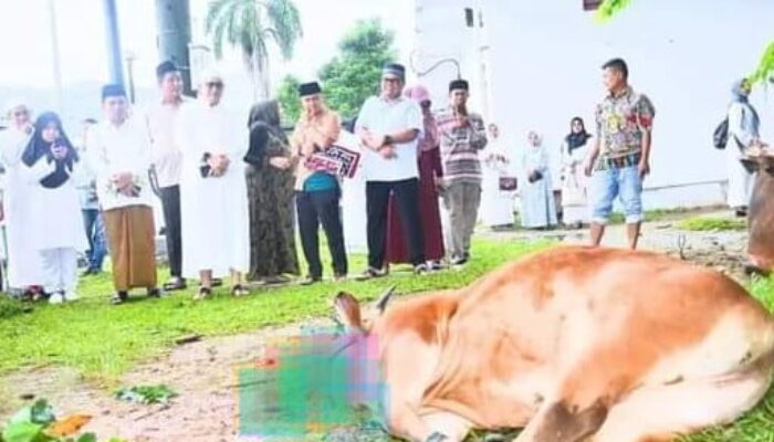 Semua Warga Tersentuh, Jumlah Hewan Kurban di Padang Tembus 8.047 Ekor