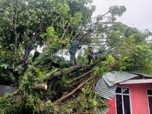 Puting Beliung Hantam 13 Lokasi di Padang, Pohon Bertumbangan Timpa Rumah Warga