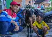 Maknai Idul Adha, Pertamina Salurkan 4.493 Hewan Kurban di Seluruh Daerah