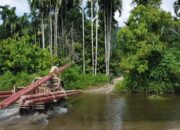 Pemerintah Suntik PLN Rp3 Triliun untuk Memenuhi Kebutuhan Listrik Seluruh Daerah Terpencil