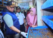 Dalam 24 Jam, Sentra Budidaya “Maggot BSF” Binaan PT Semen Padang Bisa Mengurai 1 Ton Sampah