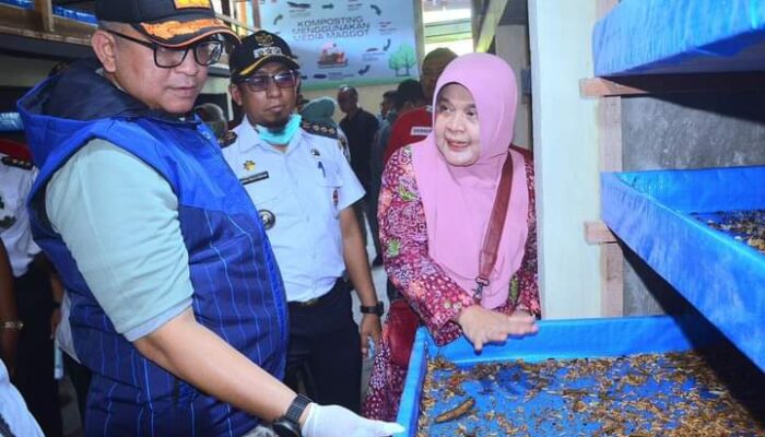 Dalam 24 Jam, Sentra Budidaya “Maggot BSF” Binaan PT Semen Padang Bisa Mengurai 1 Ton Sampah