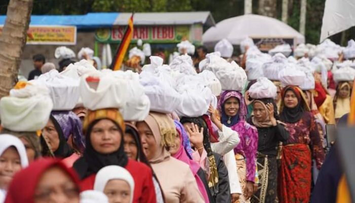 Kerinduan Perantau Lintau Terobati, Arakan 1.000 Lopek Kucuik Takuluak Balenggek Meriahkan Alek Nagari Lubuak Jantan Bolek Tapai