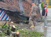 Cuaca Ekstrem Landa Kota Padang, Pohon Tumbang Timpa Rumah Warga dan Jaringan Listrik