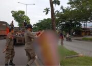 Kampanye Pilkada Usai! Petugas Gabungan Bongkar Semua Baliho dan Spanduk Pasangan Calon Gubernur dan Walikota