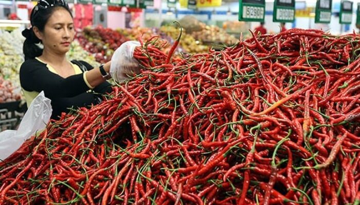 Harga Cabai Merah Anjlok di Padang Panjang, Ayam Potong Terus Melambung