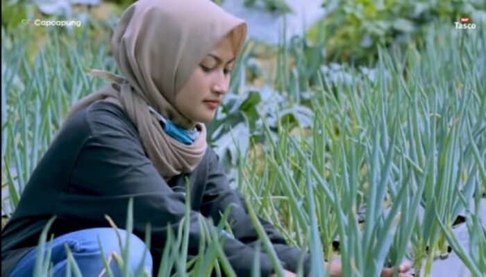 Yuk Jadi Petani Milenial! Kementan Siapkan Upah Rp10 Juta Per Bulan, Berikut Cara Daftarnya