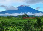 Solok Selatan Buka Gerbang Pendakian Gunung Kerinci, Jarak Tempuh Singkat dan View Lebih Cantik