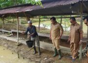 Nagari Ampang Kuranji Dharmasraya Berdayakan Semua Potensi Lahan untuk Ketahanan Pangan
