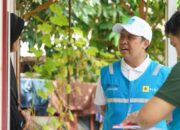 Listrik Murah Mulai Berlaku, Pelanggan PLN Cukup Bayar Tagihan Bulanan/Token Setengah Harga