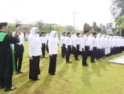 Pemko Pariaman Mulai Tegas! Honorer Tak Lulus PPPK Dialihkan Jadi Outsourcing