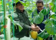 Kepala Perwakilan BI Sumbar Kunjungi Sentra Pertanian dan IKM Holtikultura Tanah Datar