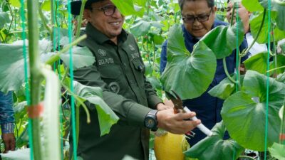 Kepala Perwakilan BI Sumbar Kunjungi Sentra Pertanian dan IKM Holtikultura Tanah Datar