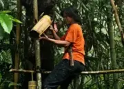 Pertamina NRE Kembangkan Potensi Aren untuk Tingkatkan Produksi Bioetanol Indonesia 