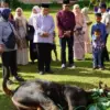 Semangat Kurban Menyongsong Asa Kehidupan Baru Warga Desaku Menanti