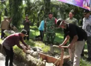 Nagari Mahakarya Bangun Jalan Usaha Tani  Kampung Talang – Kapar di Pasaman Barat