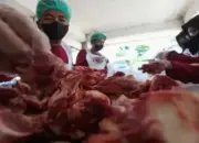 Awas Bahaya! Ini Pesan Penting Dinkes Padang saat Mengkonsumsi Daging Kurban