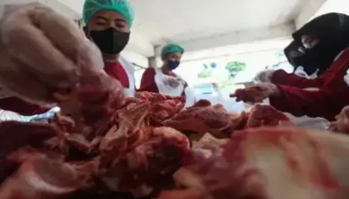 Awas Bahaya! Ini Pesan Penting Dinkes Padang saat Mengkonsumsi Daging Kurban