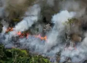 16 Nagari Dikepung Api, Kebakaran Hutan Terancam Meluas di Limapuluh Kota