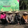 Dukung Swasembada Pangan, Polres Pasaman Barat Tanam Jagung di Lahan 250 Hektar