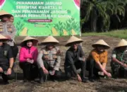 Dukung Swasembada Pangan, Polres Pasaman Barat Tanam Jagung di Lahan 250 Hektar