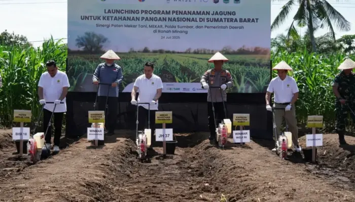Sinergi Polda, Pemda dan Paten Mekar Tani Olah Lahan Tidur Jadi Kebun Jagung Super Luas di Sumbar