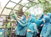 Tim Penilai Provinsi Takjum dengan Karya TP PKK Nagari Tanjung Bonai Tanah Datar