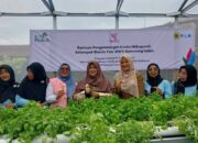 Srikandi PLN P3B Sumatera Bantu Rumah Hidroponik KWT Kemuning Indah Nanggalo Padang