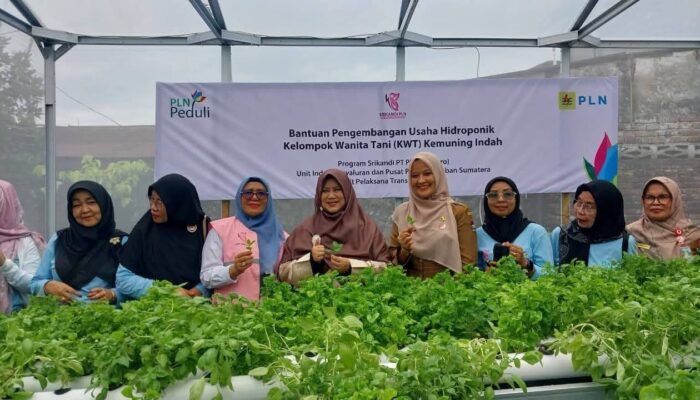 Srikandi PLN P3B Sumatera Bantu Rumah Hidroponik KWT Kemuning Indah Nanggalo Padang