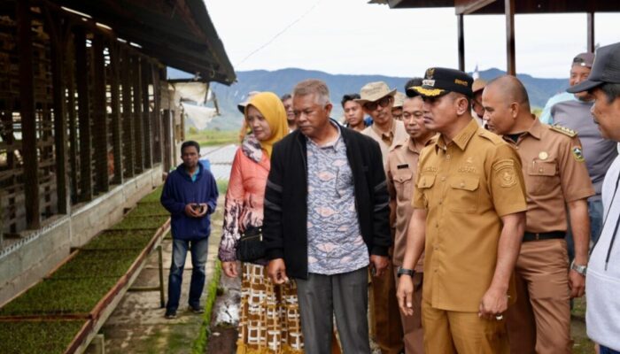 Pemkab Solok Dorong Alahan Panjang Jadi Sentra Nasional Pertanian Bawang Berkualitas